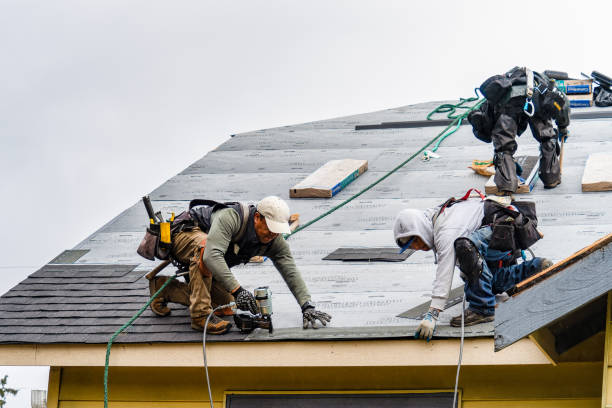 Professional Roofing technician working in Cambridge, WI